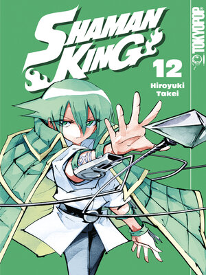 cover image of Shaman King – Einzelband 12